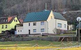 Ferienhaus am Elberadweg mit Sauna&Kamin - Natur, Erholung&S-Bahn-Anbindung - Saxon Oase